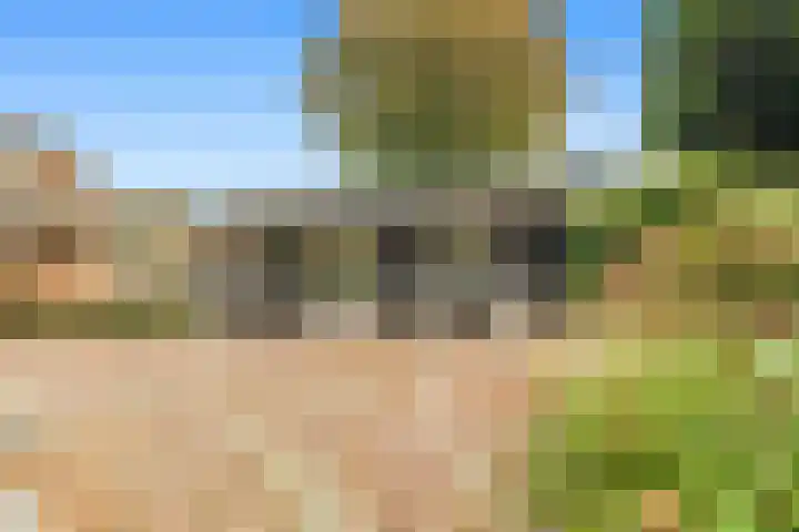 Kievit 26 Castricum thumbnail 53
