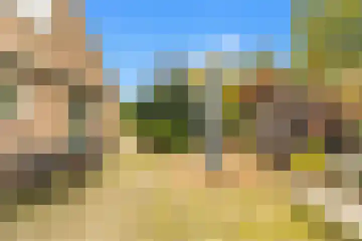 Kievit 26 Castricum thumbnail 62