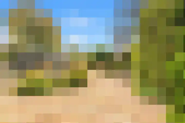 Kievit 26 Castricum thumbnail 63