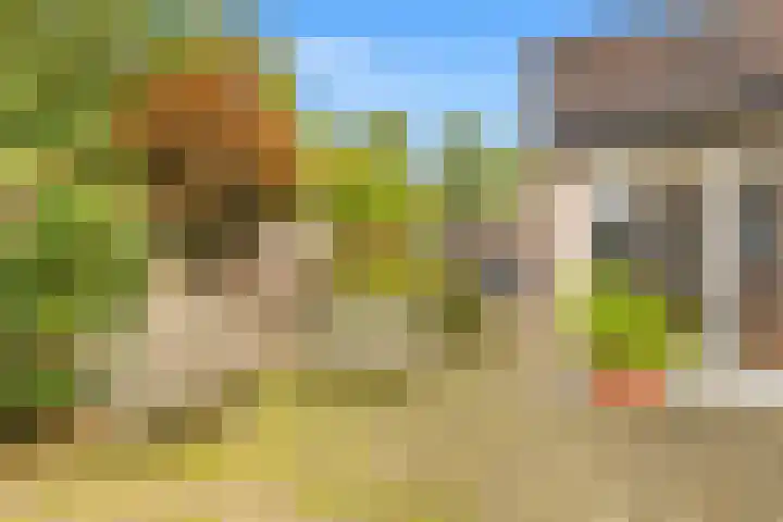 Kievit 26 Castricum thumbnail 64