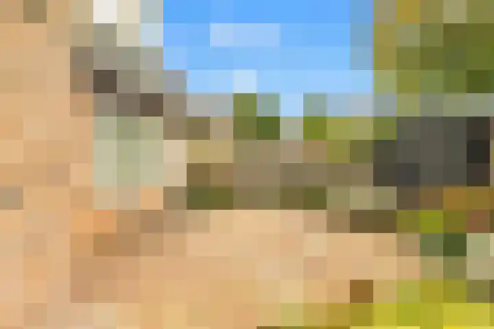 Kievit 26 Castricum thumbnail 65