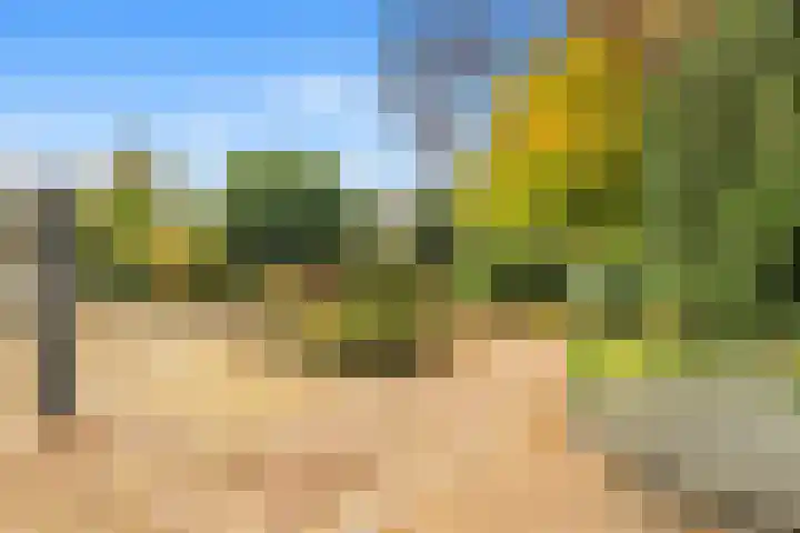 Kievit 26 Castricum thumbnail 71