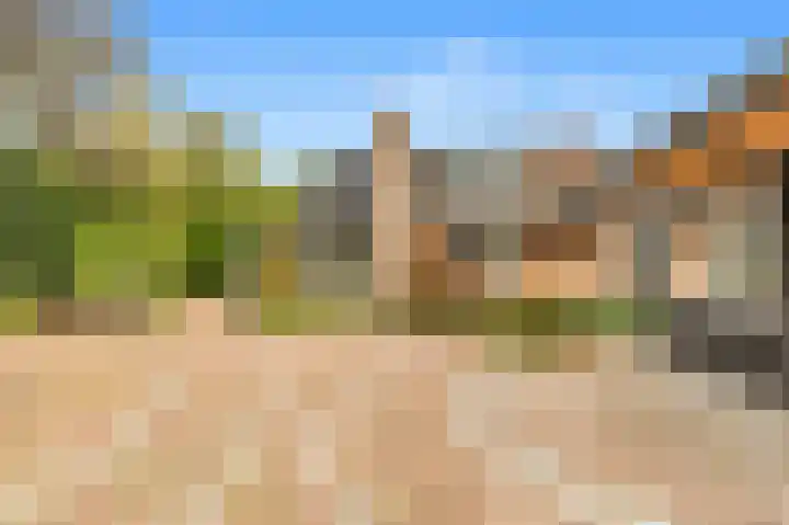 Kievit 26 Castricum thumbnail 73