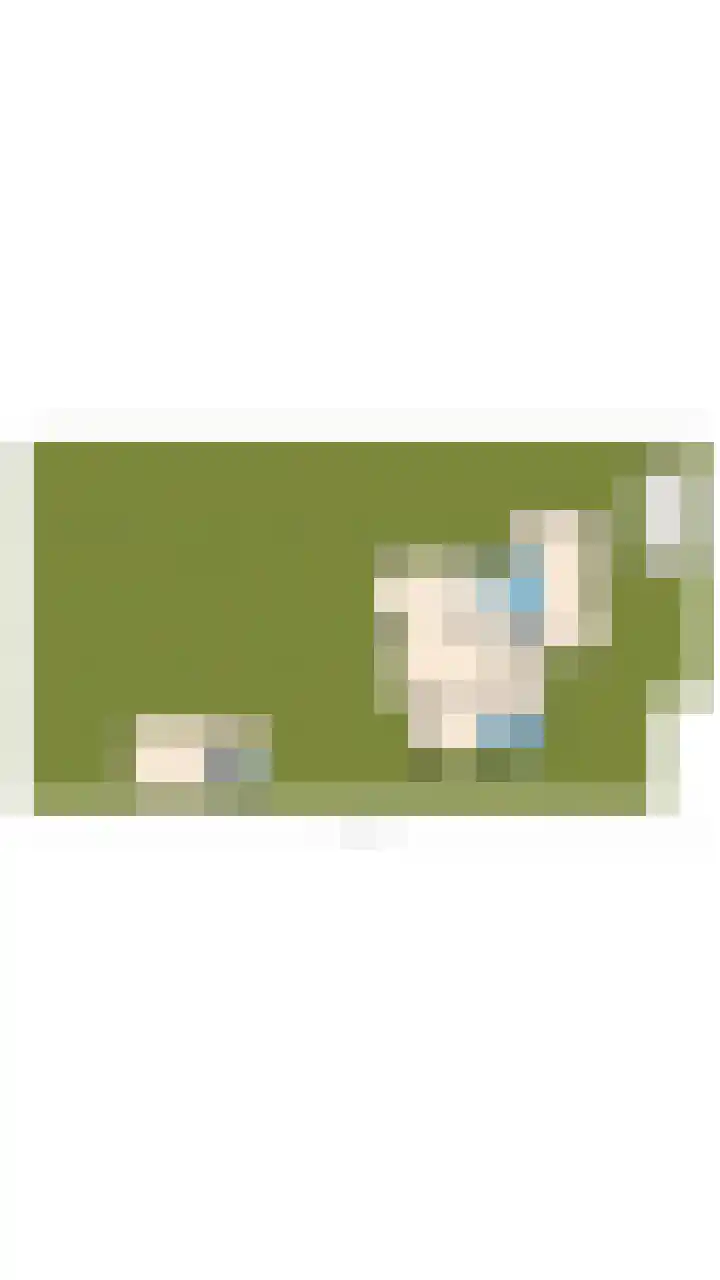 Kievit 26 Castricum thumbnail 84