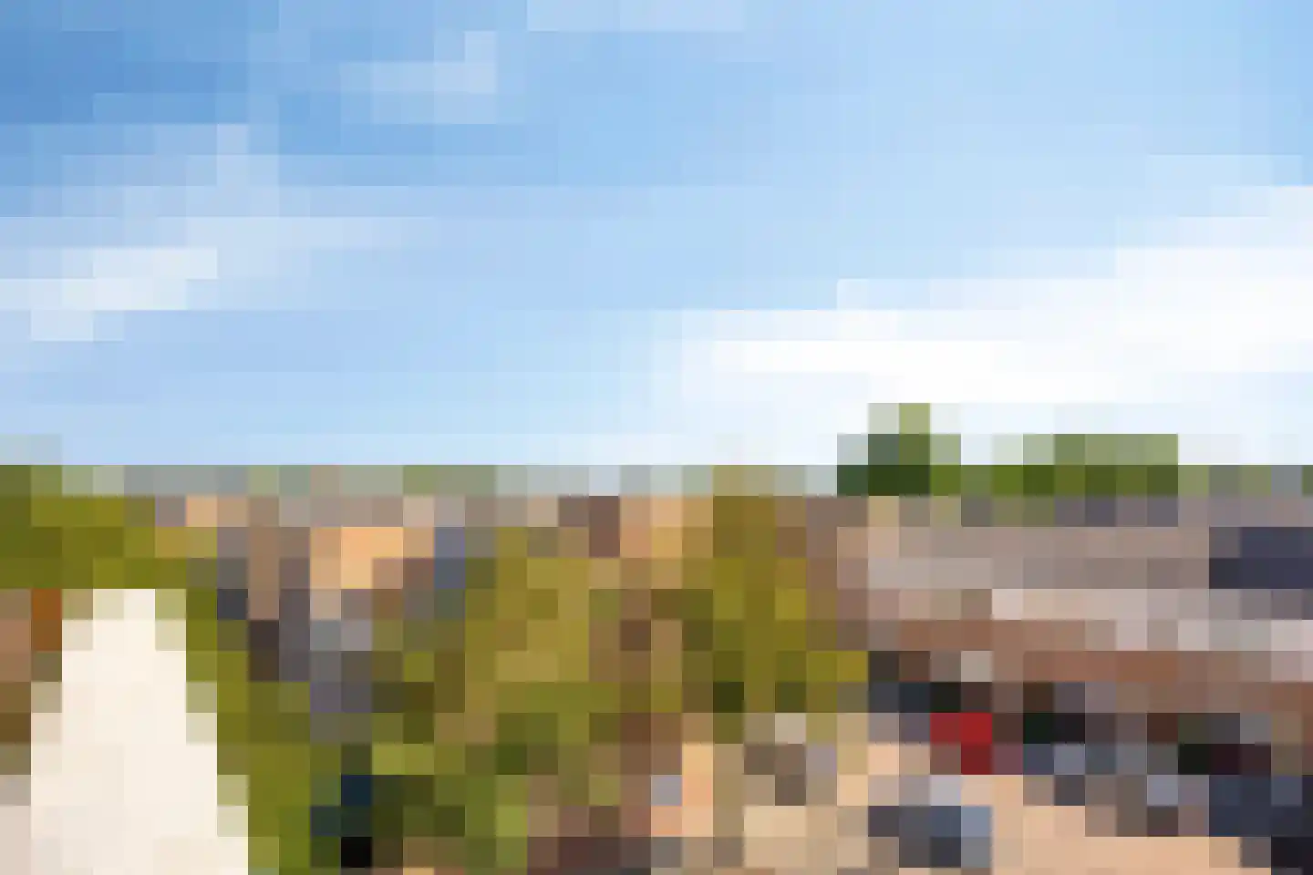 Kievit 27 De Lier thumbnail 26