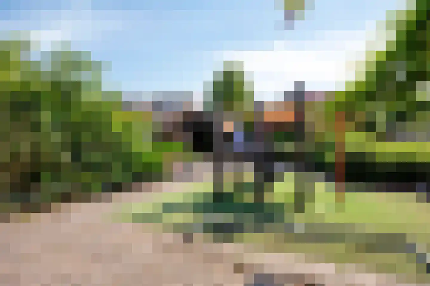 Kievit 27 De Lier thumbnail 28