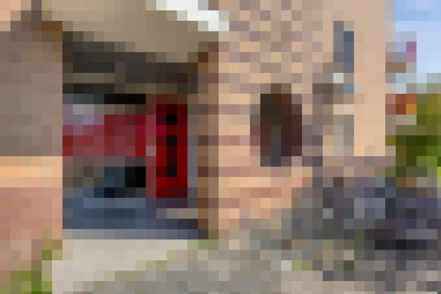 Kievit 27 De Lier thumbnail 5