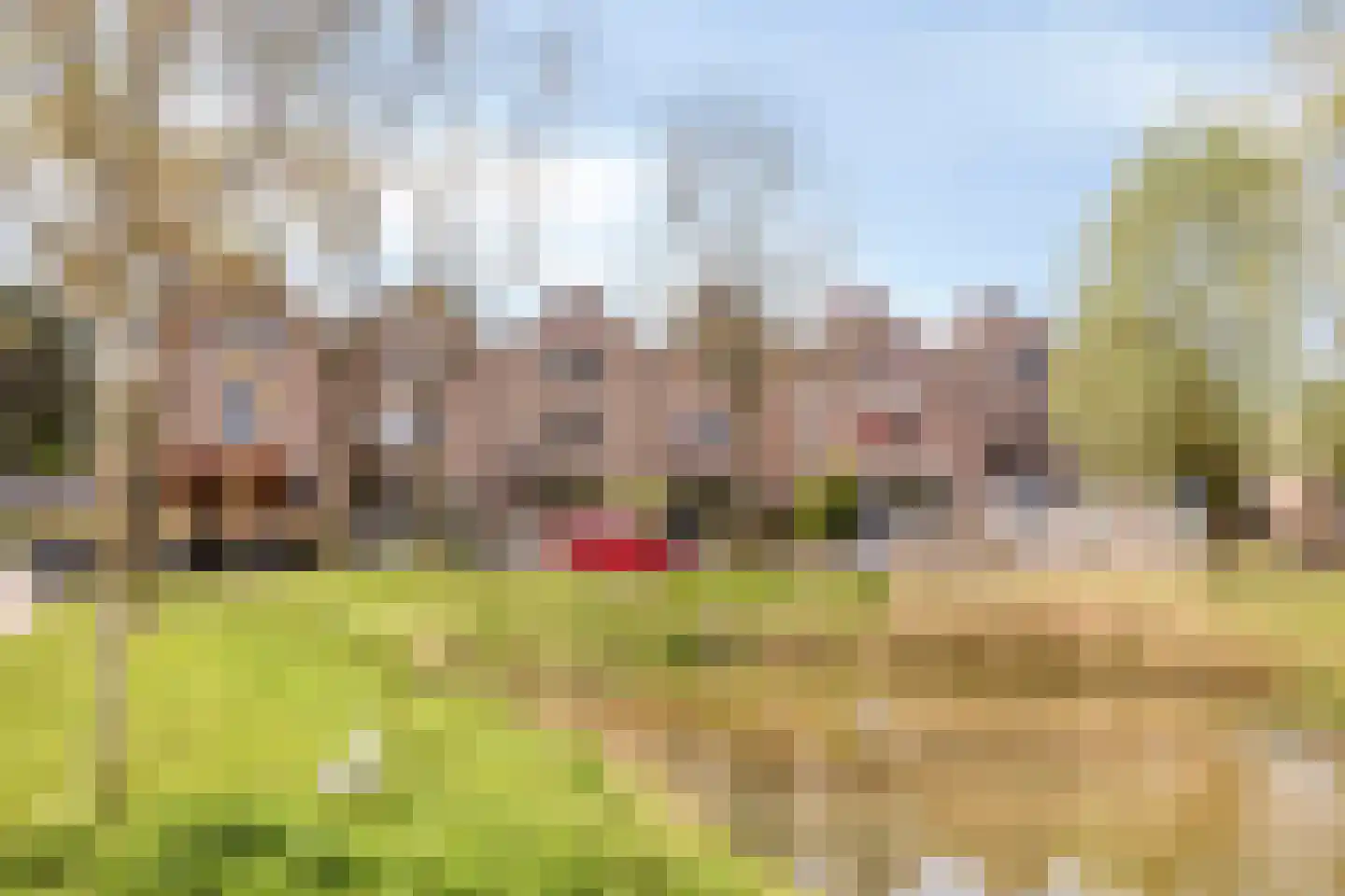 Kievit 27 Deventer thumbnail 46