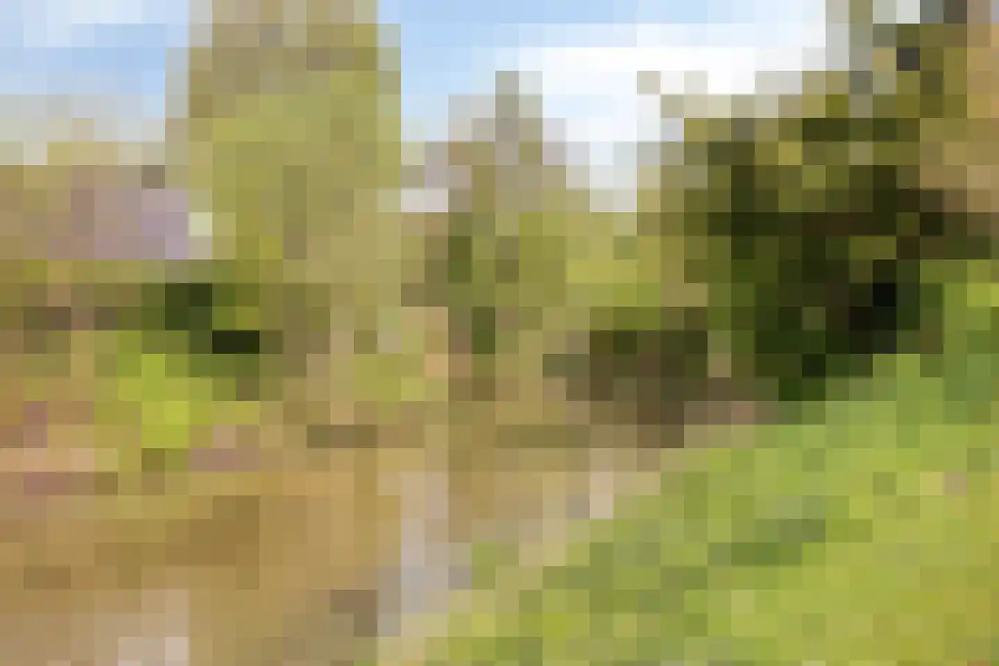 Kievit 27 Deventer thumbnail 48