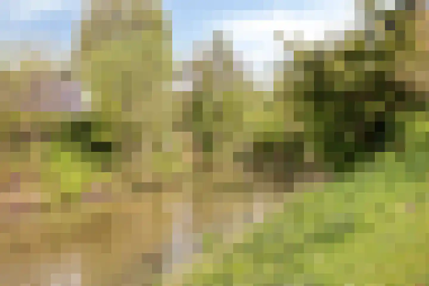 Kievit 27 Deventer thumbnail 49