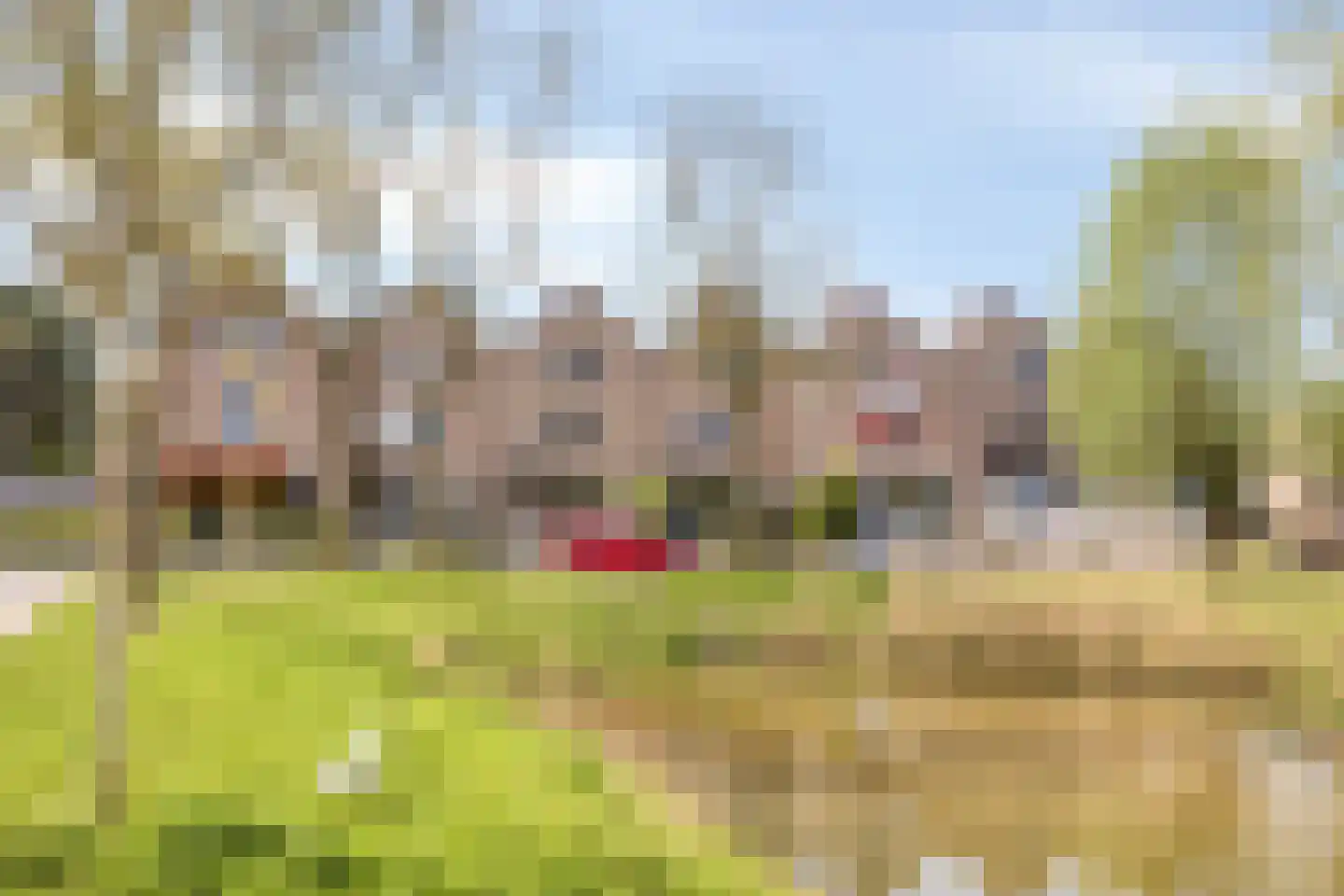 Kievit 27 Deventer thumbnail 6