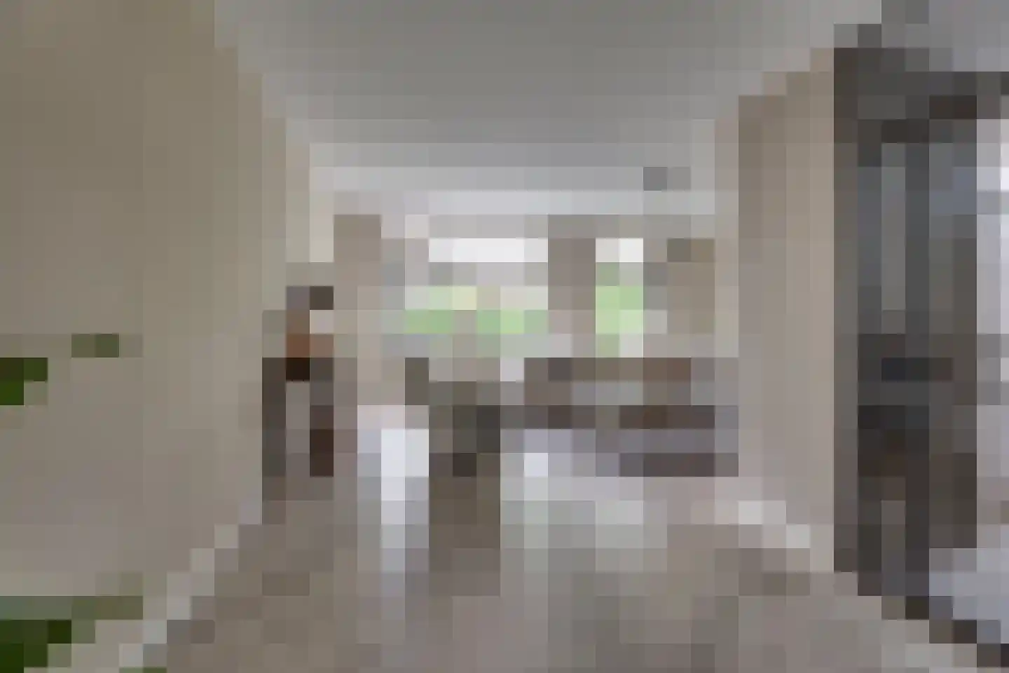 Kievit 27 Rijssen thumbnail 10