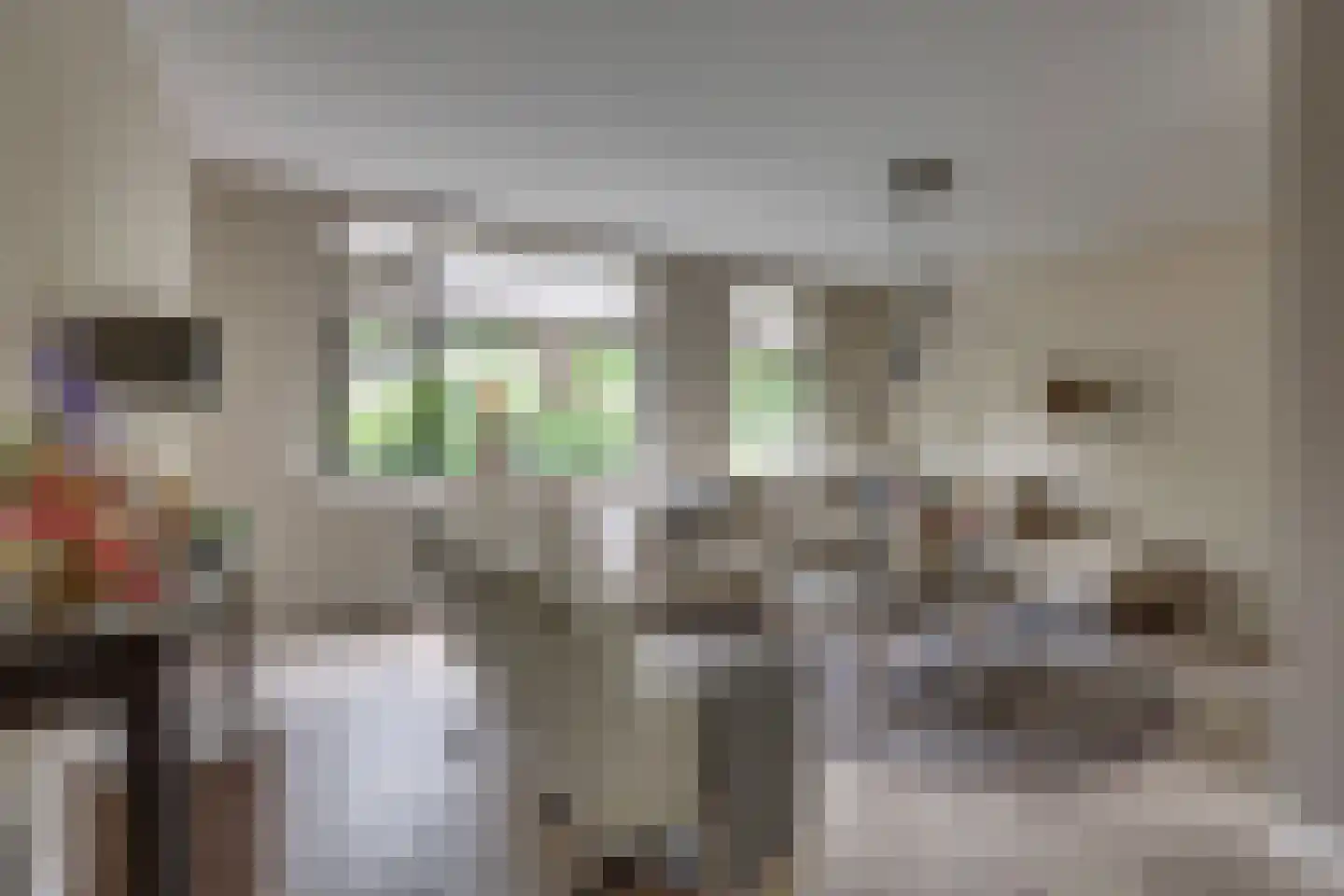Kievit 27 Rijssen thumbnail 11