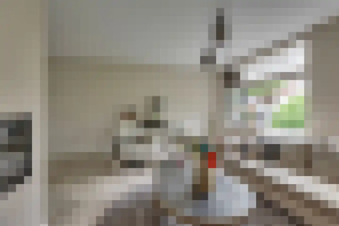 Kievit 27 Rijssen thumbnail 12