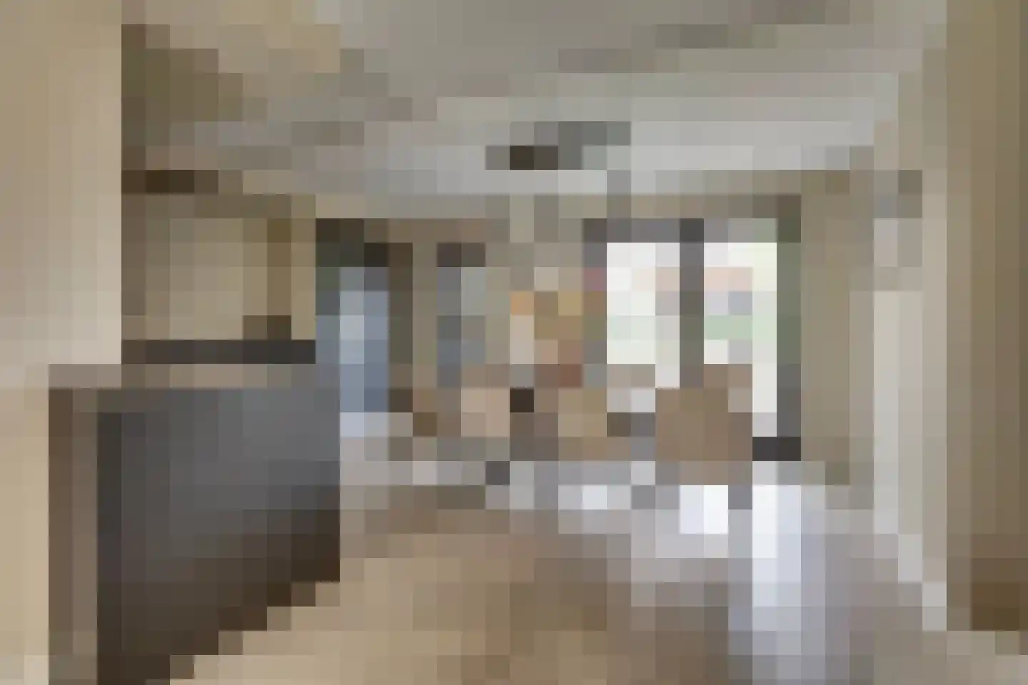 Kievit 27 Rijssen thumbnail 14