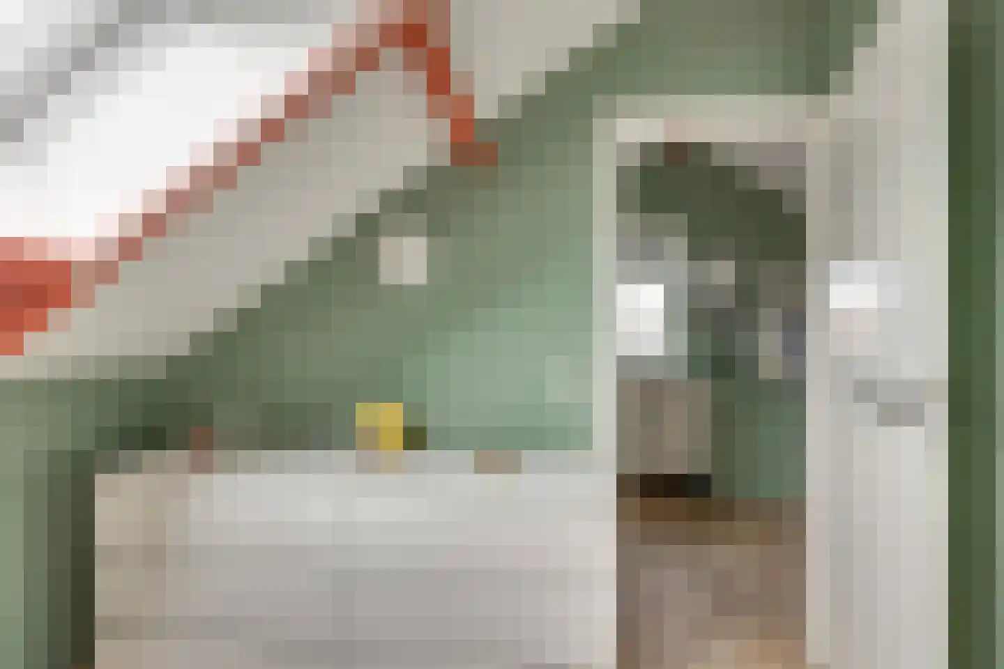 Kievit 27 Rijssen thumbnail 34