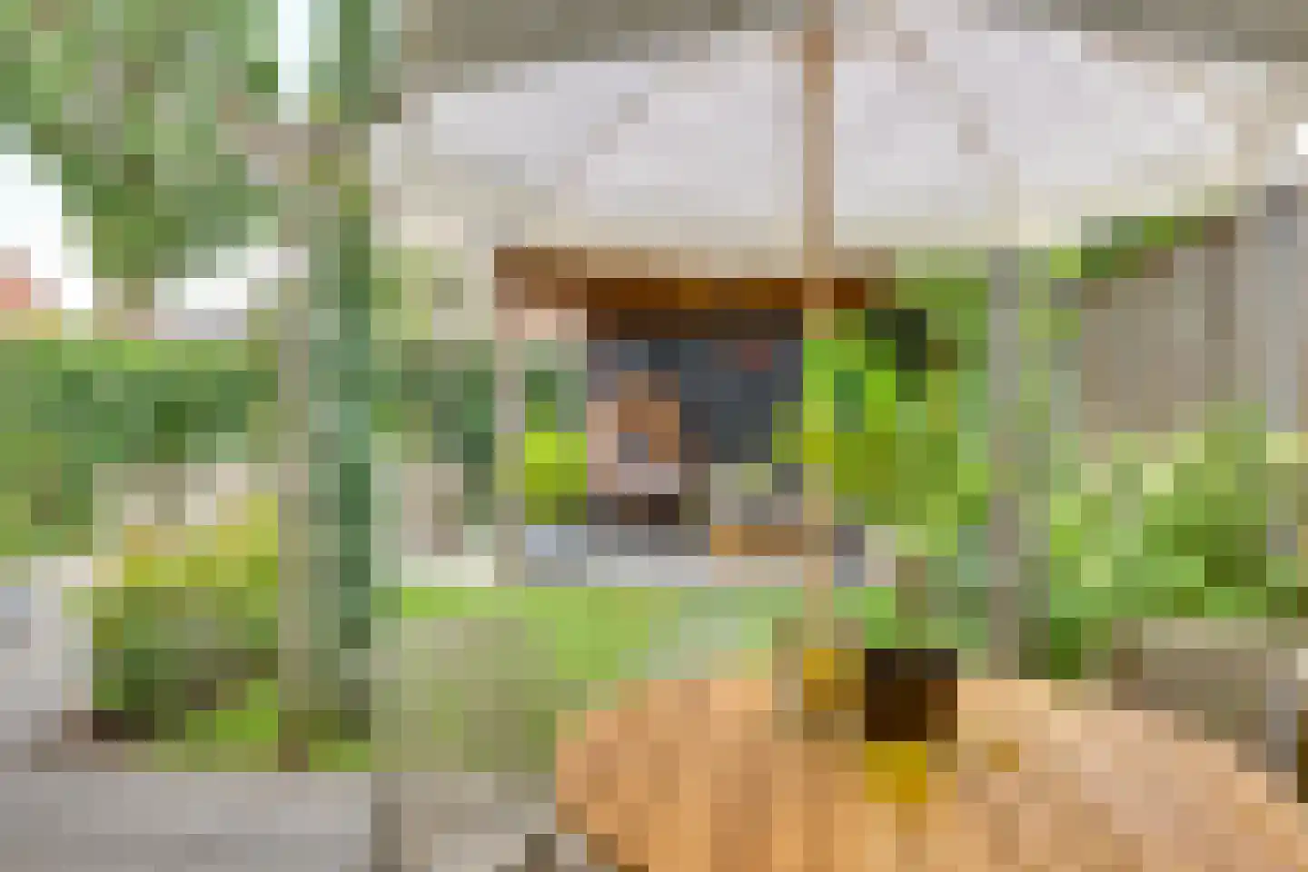 Kievit 27 Rijssen thumbnail 37