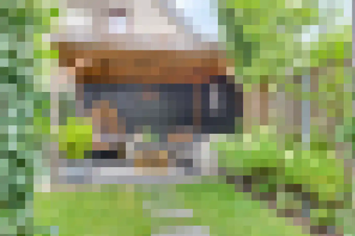 Kievit 27 Rijssen thumbnail 38