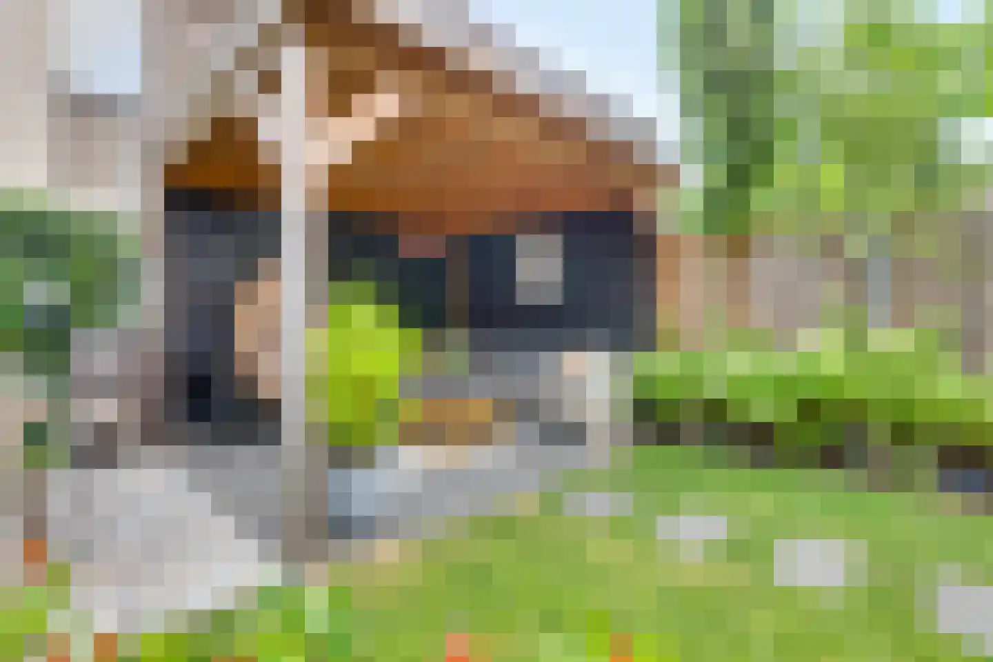 Kievit 27 Rijssen thumbnail 39