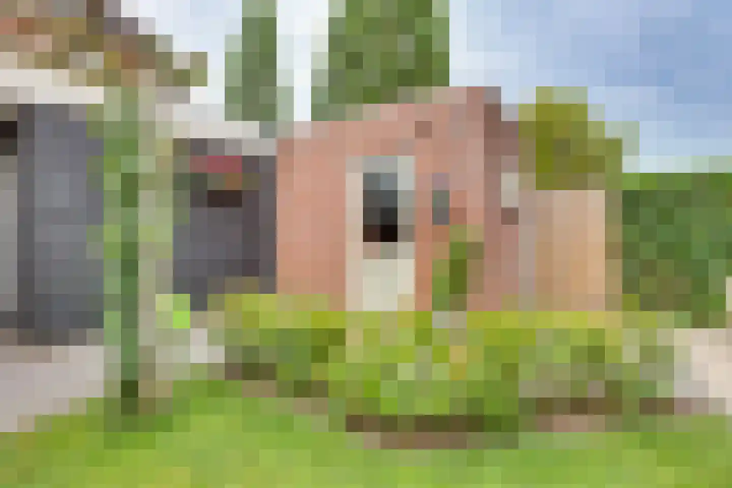 Kievit 27 Rijssen thumbnail 43