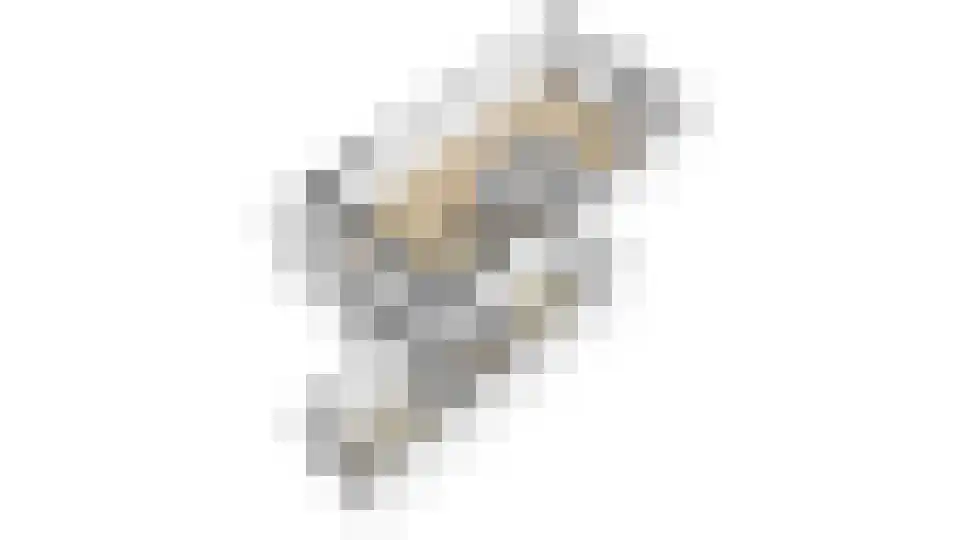 Kievit 27 Rijssen thumbnail 49