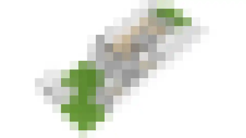 Kievit 27 Rijssen thumbnail 58