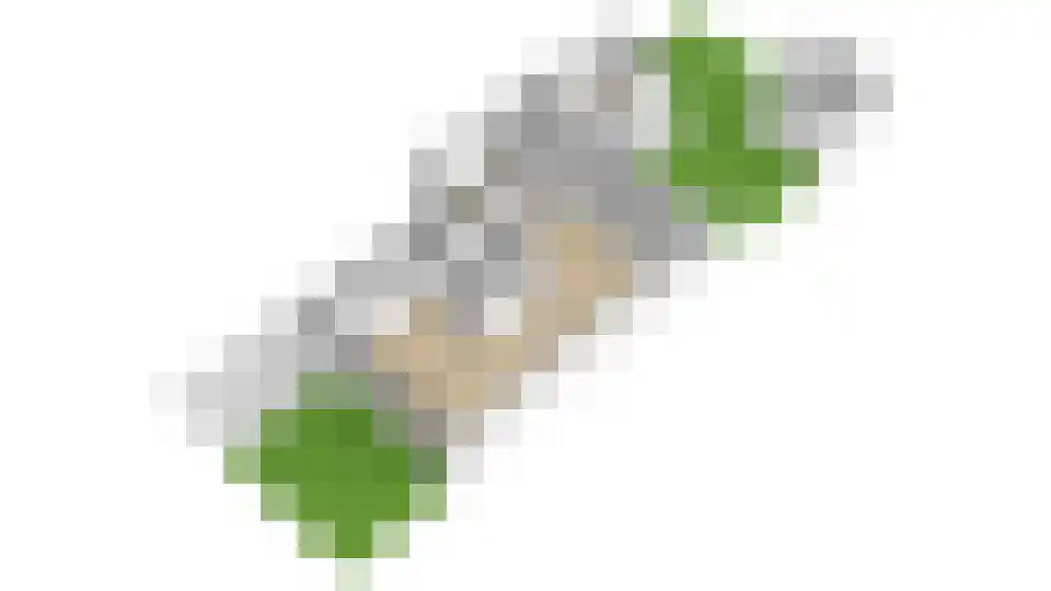 Kievit 27 Rijssen thumbnail 59