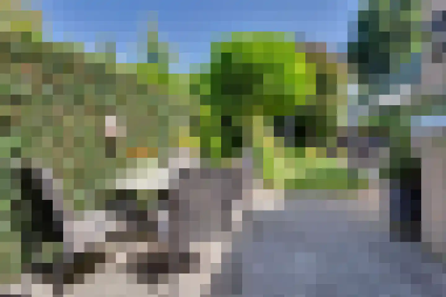 Kievit 28 Oud-Beijerland thumbnail 28