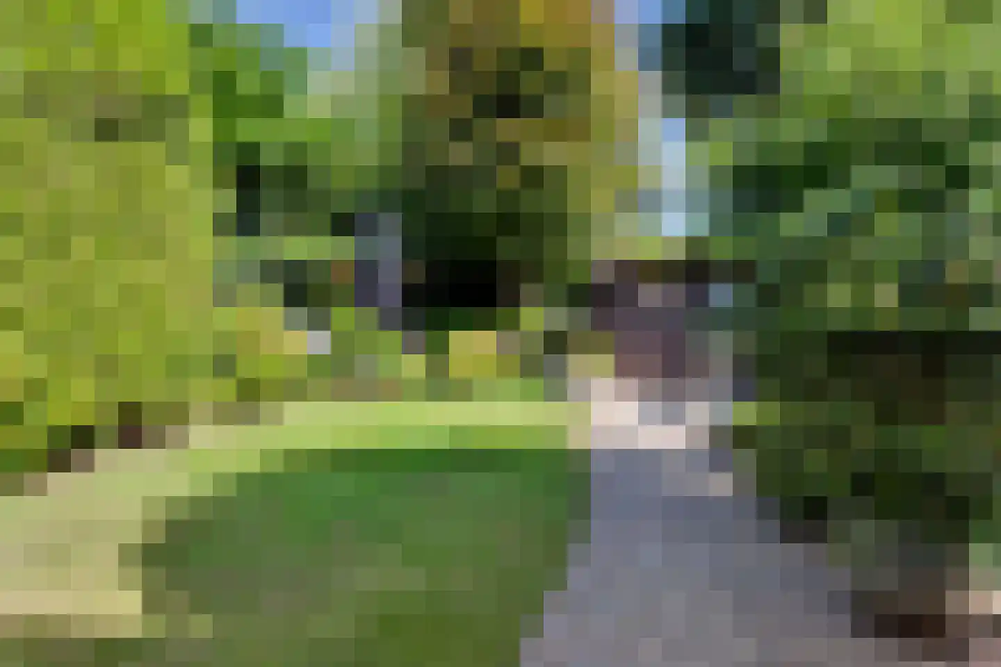 Kievit 28 Oud-Beijerland thumbnail 31