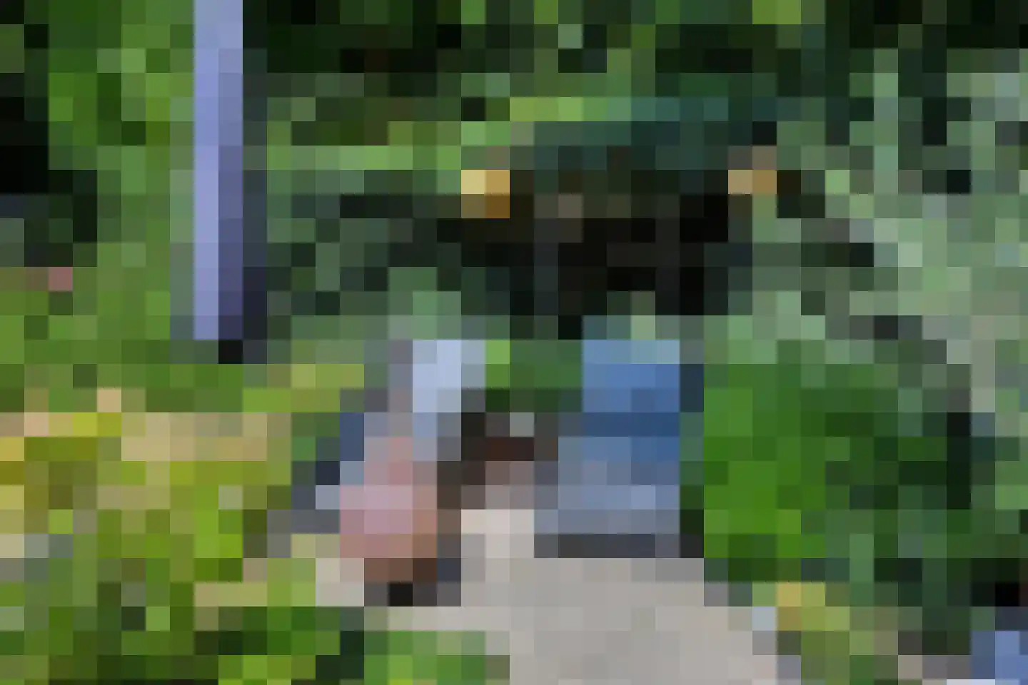 Kievit 28 Oud-Beijerland thumbnail 32