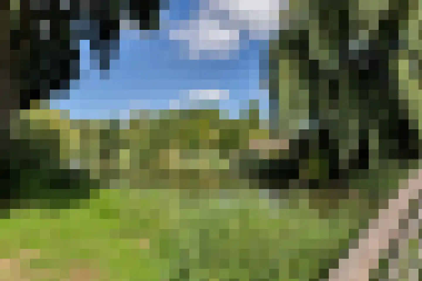 Kievit 28 Oud-Beijerland thumbnail 36