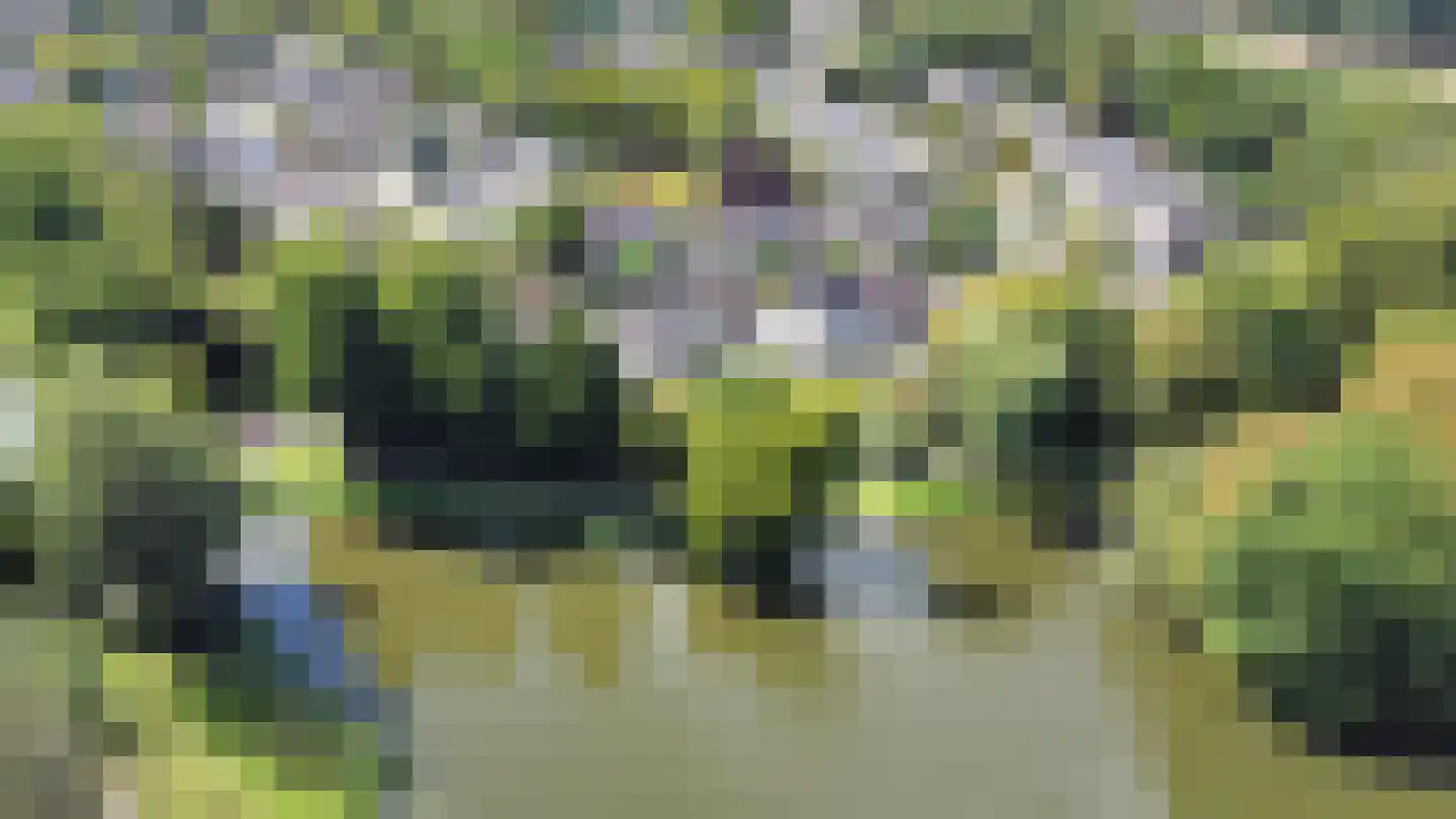 Kievit 28 Oud-Beijerland thumbnail 37