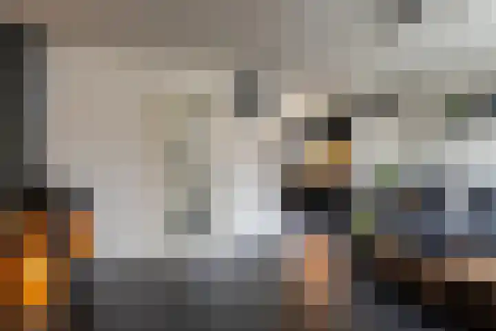 Kievit 28 Sprang-Capelle thumbnail 12