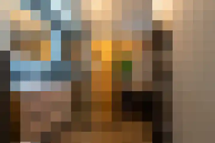 Kievit 28 Sprang-Capelle thumbnail 16