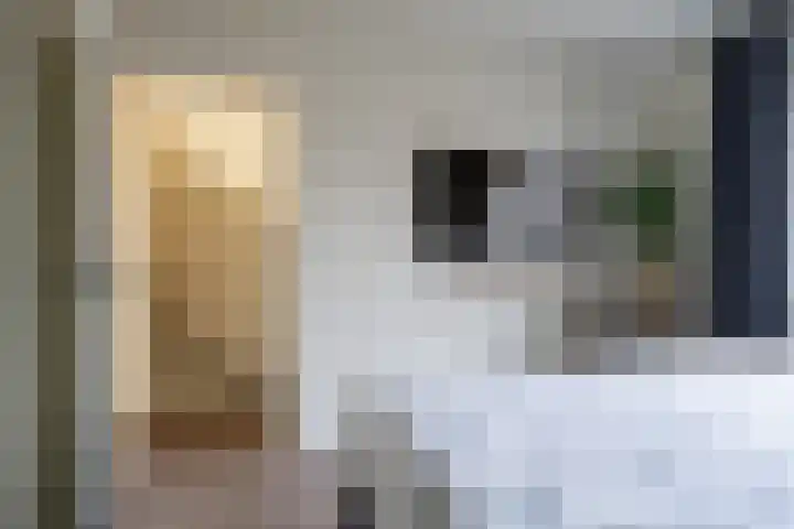 Kievit 28 Sprang-Capelle thumbnail 19