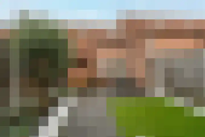 Kievit 28 Sprang-Capelle thumbnail 26