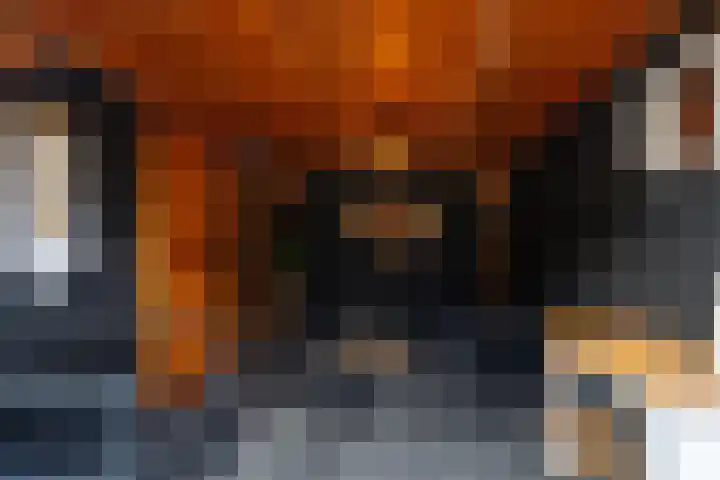 Kievit 28 Sprang-Capelle thumbnail 28