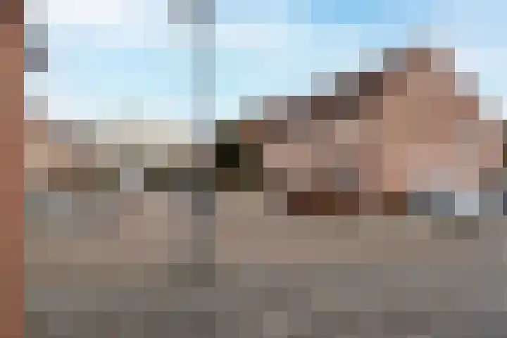 Kievit 28 Sprang-Capelle thumbnail 31