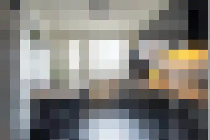 Kievit 28 Sprang-Capelle thumbnail 8