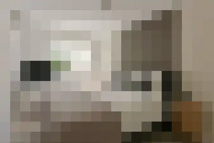 Kievit 3 Mijdrecht thumbnail 16