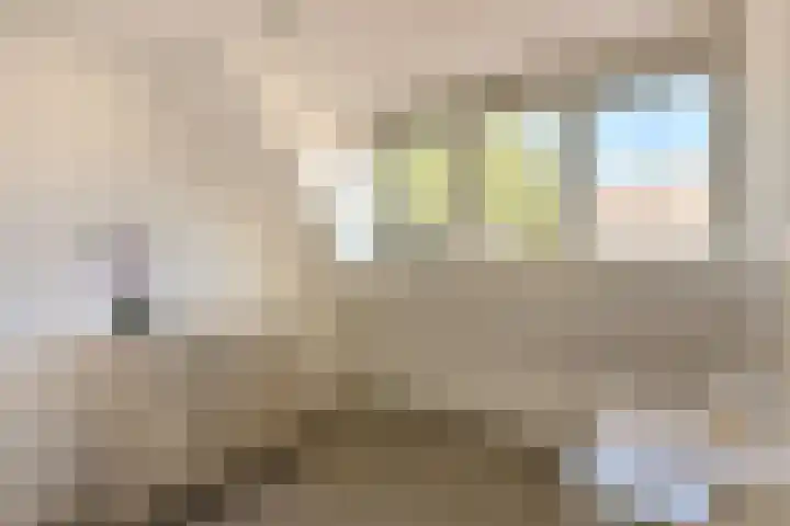 Kievit 3 Mijdrecht thumbnail 18