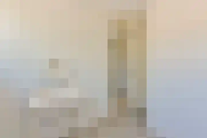 Kievit 3 Mijdrecht thumbnail 19