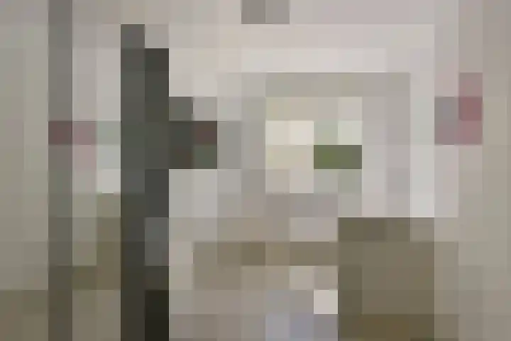 Kievit 3 Mijdrecht thumbnail 21