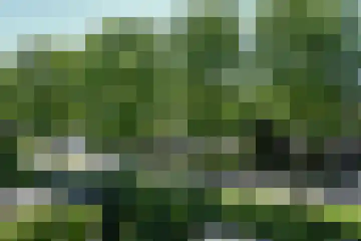 Kievit 3 Mijdrecht thumbnail 27