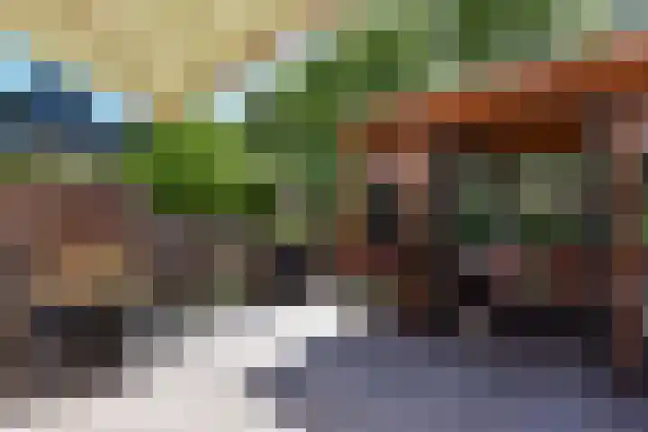 Kievit 3 Mijdrecht thumbnail 29