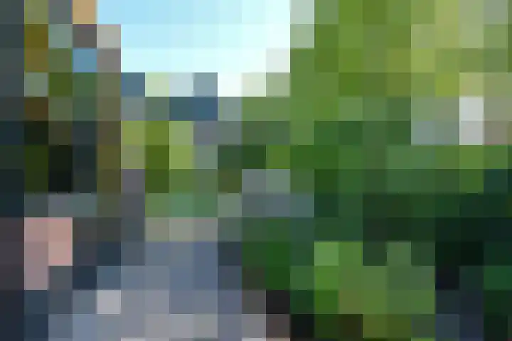 Kievit 3 Mijdrecht thumbnail 33