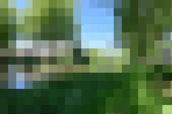 Kievit 3 Mijdrecht thumbnail 34