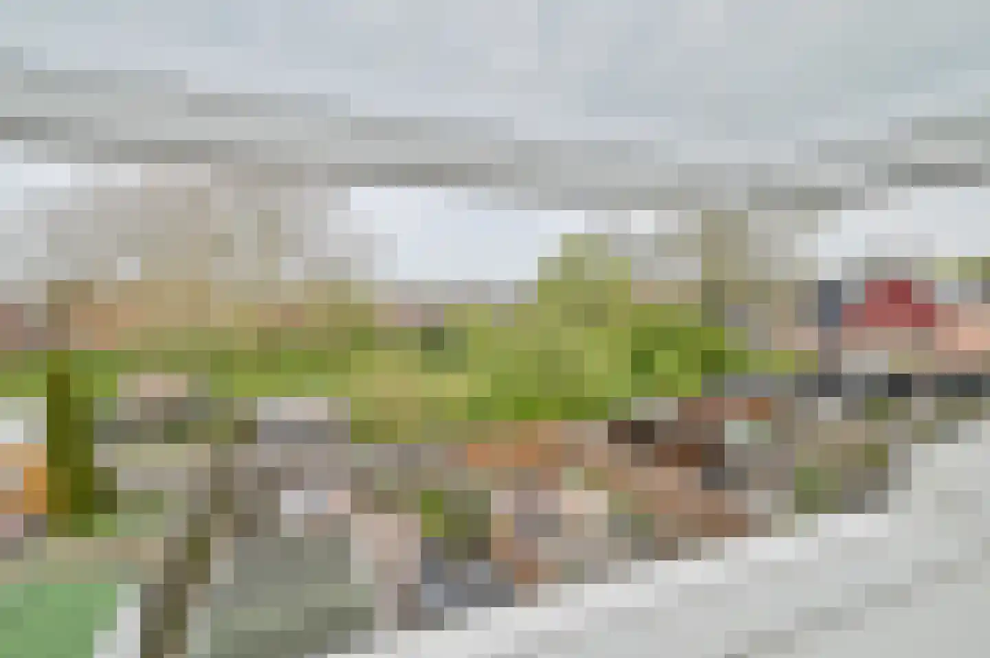 Kievit 31 Mijdrecht thumbnail 24