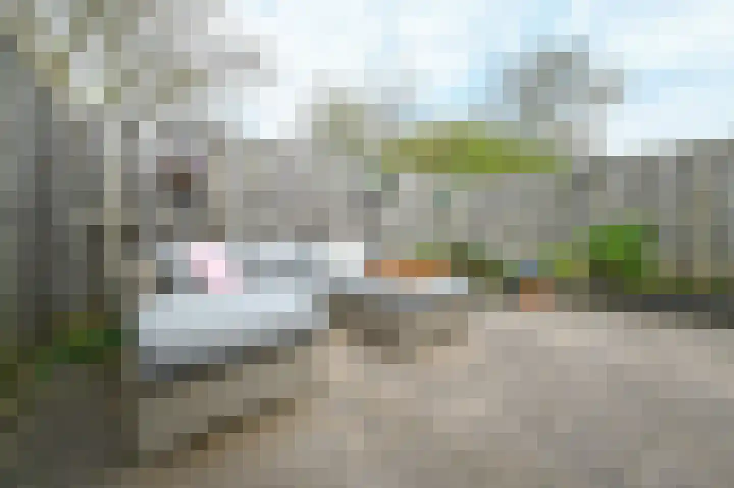 Kievit 31 Mijdrecht thumbnail 29