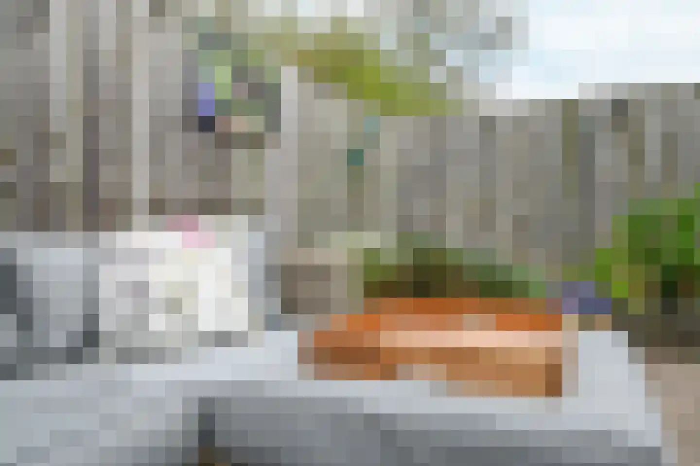 Kievit 31 Mijdrecht thumbnail 30